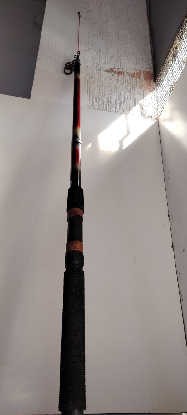 Canne a peche DAIWA