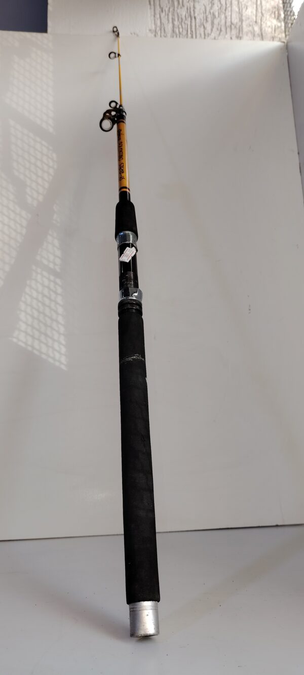 Canne de peche DAIWA