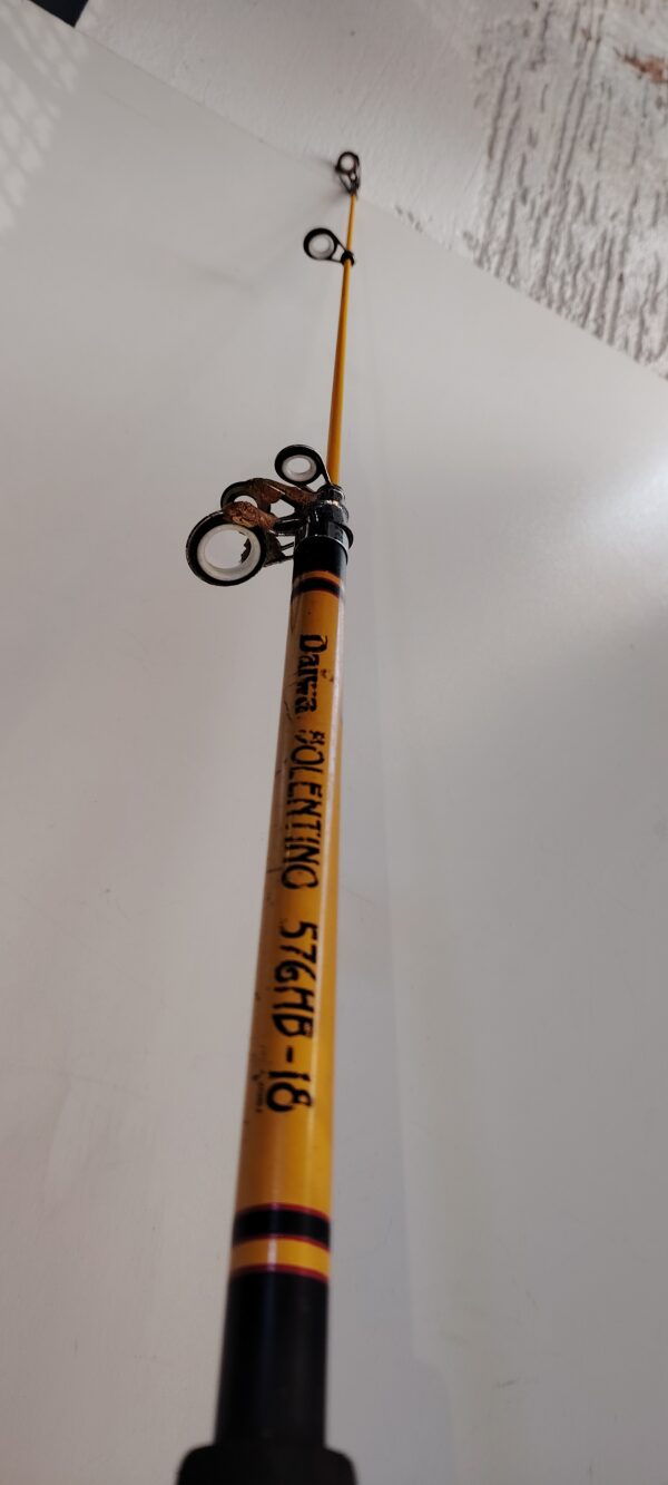 Canne de peche DAIWA – Image 4