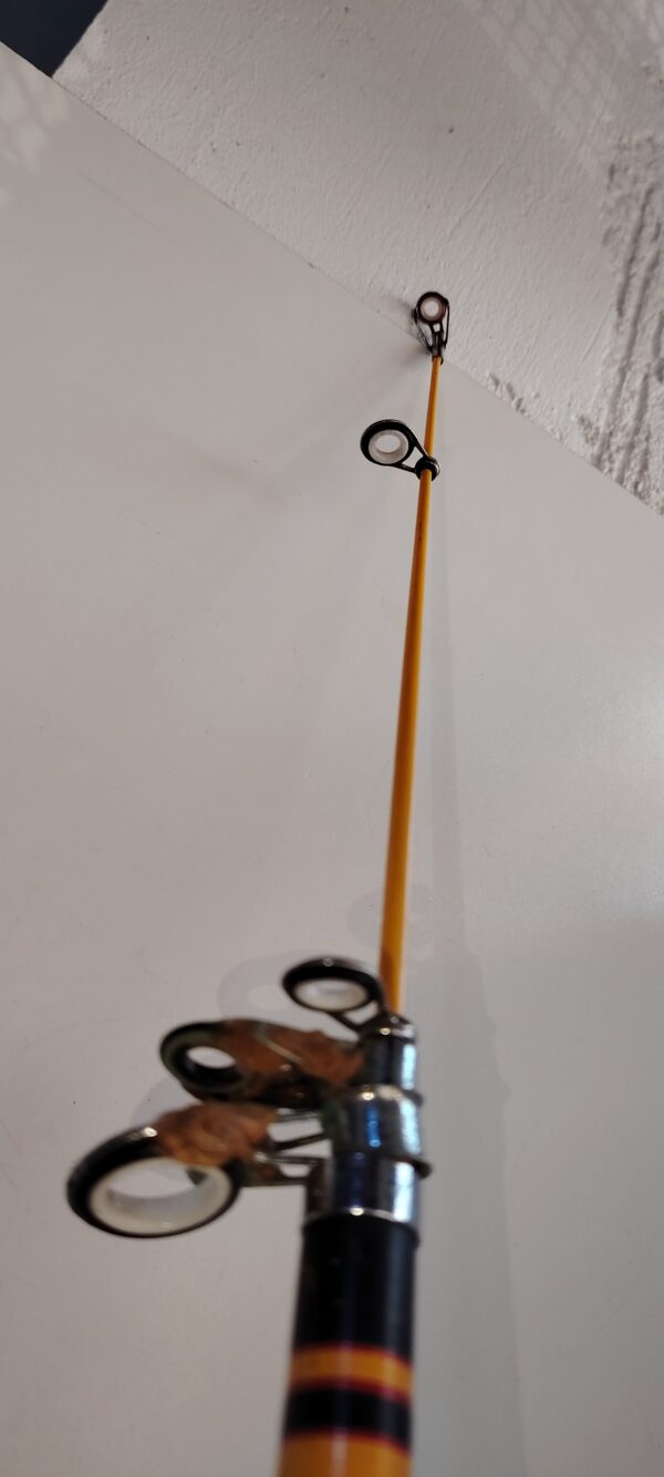 Canne de peche DAIWA – Image 3