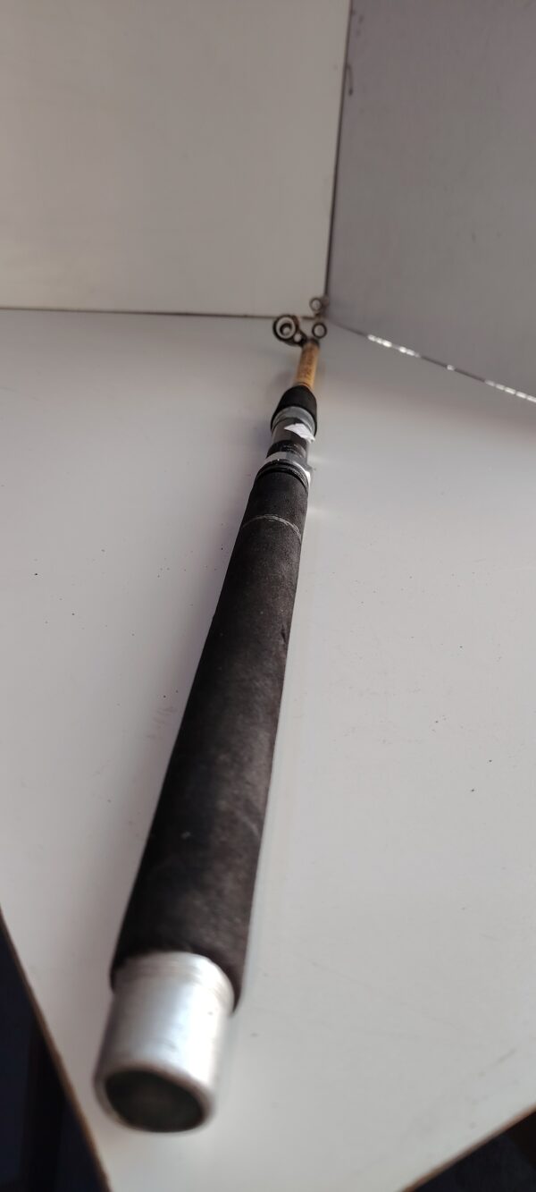 Canne de peche DAIWA – Image 2