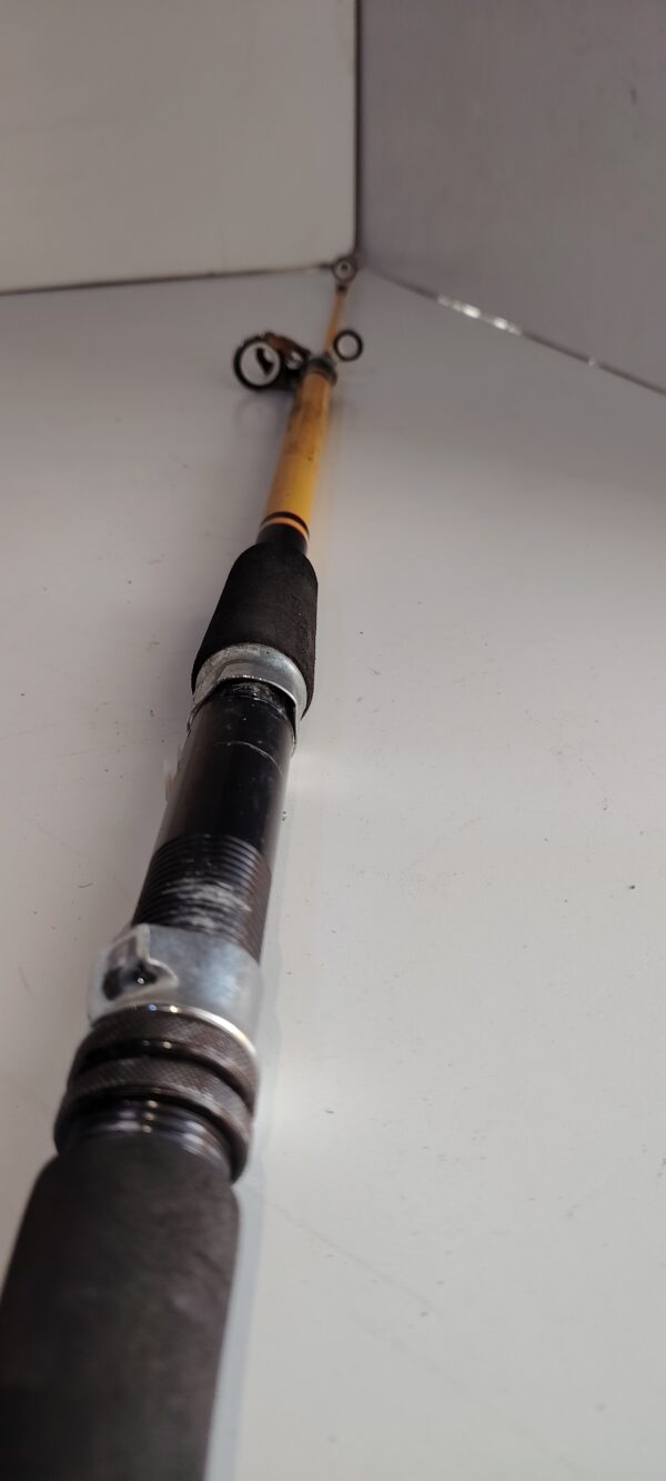 Canne de peche DAIWA – Image 5