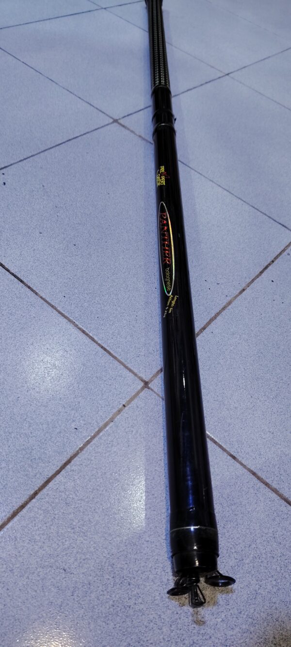 Canne a peche PANTHER bolognees