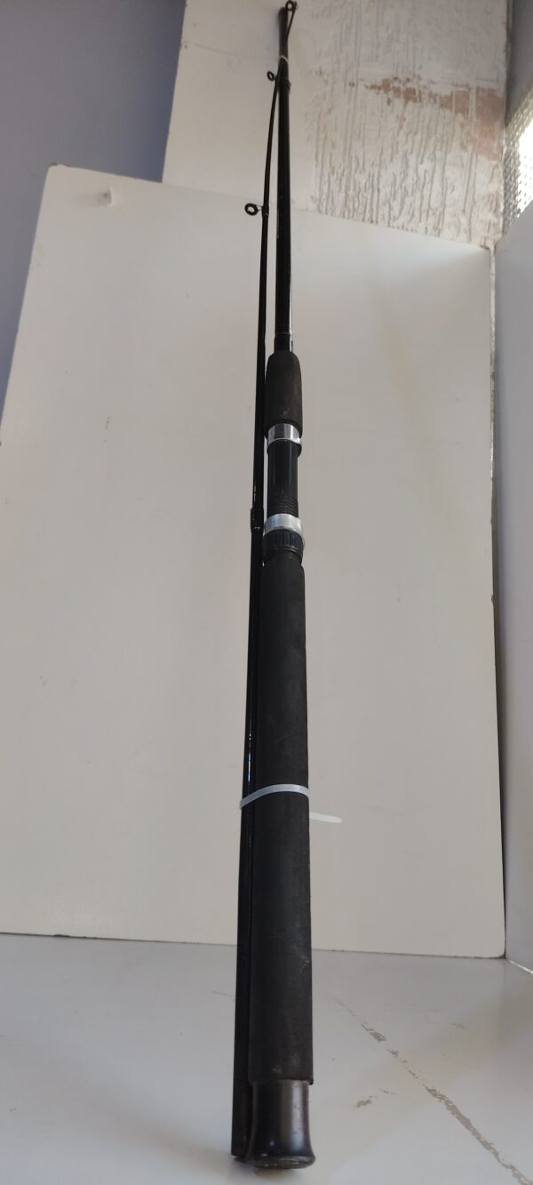 Canne a peche  2 Pies  AGGRESSIVE GLASS 2.40m
