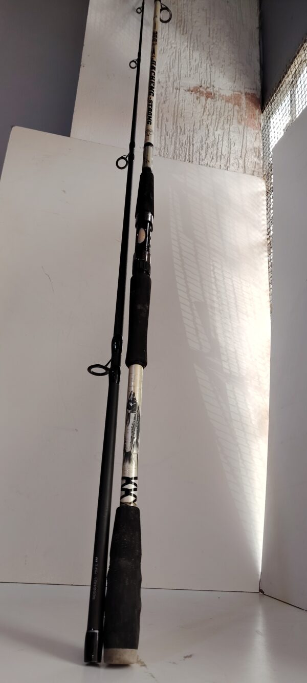 Canne a peche D'origine JIA CHENG-STRONG L3.0m 2Pies