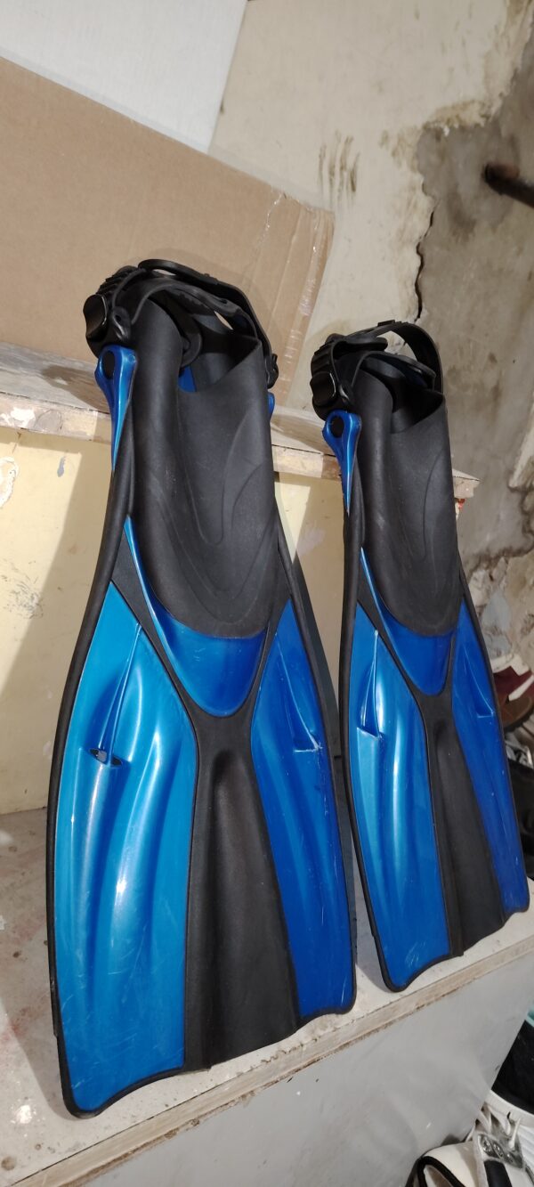 Palme normal Slim  Taille Standar – Image 3