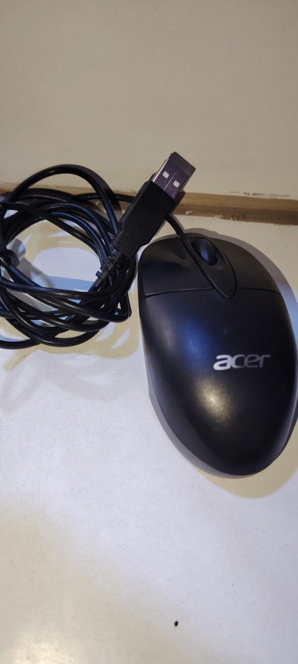 Souris acer Filaire Dorigine ocation