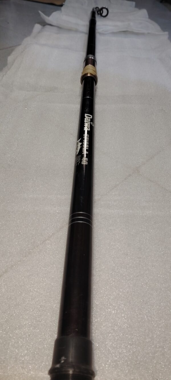 Canne a Peche Daiwa SPIGOLA-40 ( 4m)