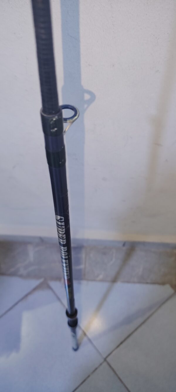 Canne de Peche CARBORE 1.84m Canne de Carbone
