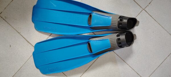 palme de plonger Apnea taille 44/45