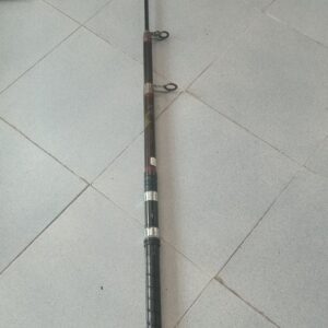 Canne a peche CORMORAN Euro Cor mit CARBON 3.50m