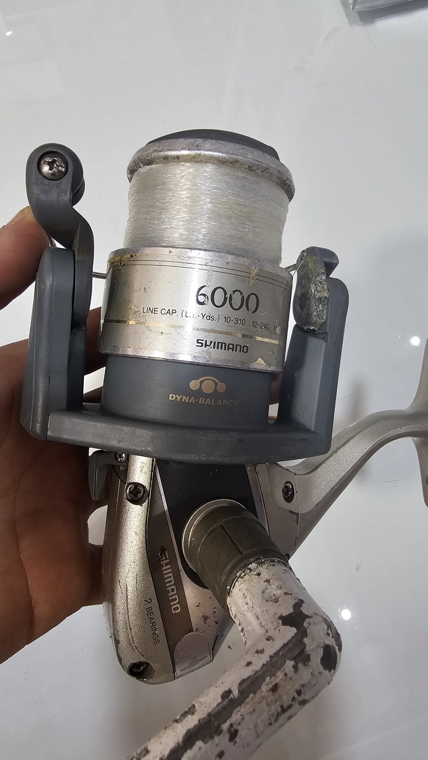 Moulini de Spining SHIMANO 6000F