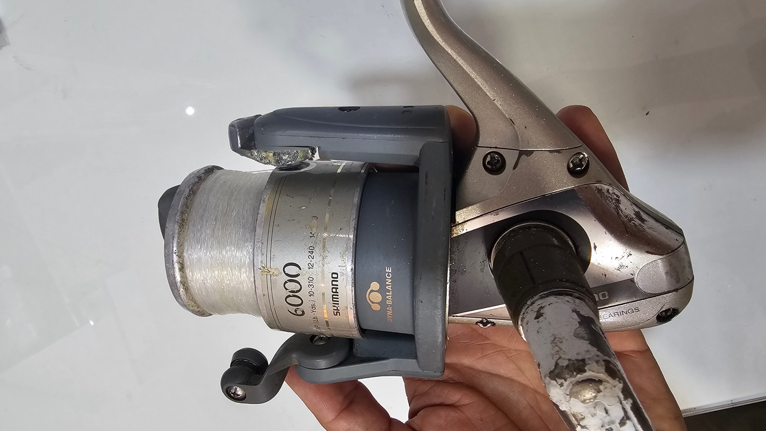 SHIMANO SEDONA 6000F – Image 3