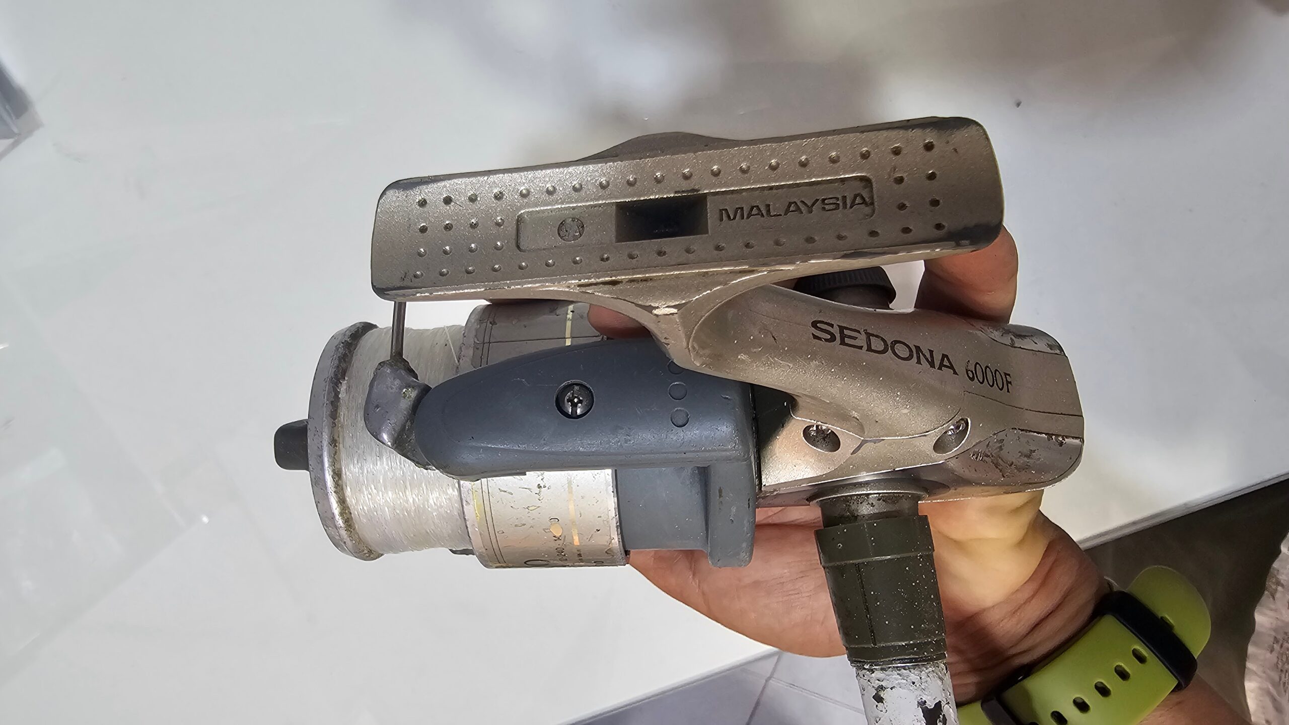 SHIMANO SEDONA 6000F – Image 4